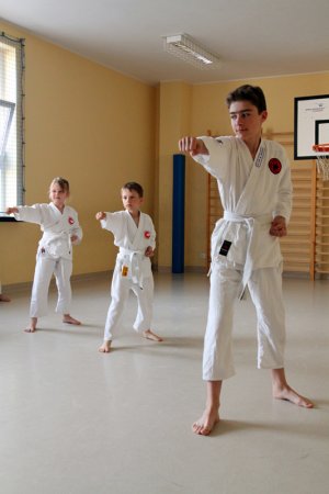 Egzamin na stopnie kyu - czerwiec