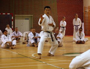 Staż techniczny z sensei Y. Ohta - 7 DAN