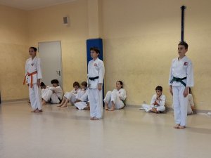 Czerwcowe egzaminy na stopnie kyu