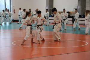 Staż techniczny JKA - Y.Ohta - 7 DAN